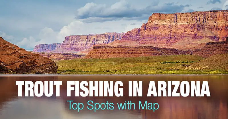 Trout Fishing in Arizona - Top Spots with Map