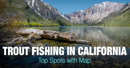 Trout Fishing in California – 10 Top Spots with Map