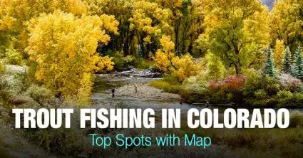 Trout Fishing in Colorado (CO) – Top Spots with Map