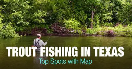 Trout Fishing in Texas (TX) – Top Spots with Map