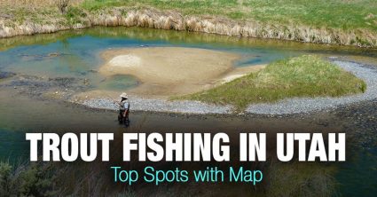 Trout Fishing in Utah – Top Spots with Map