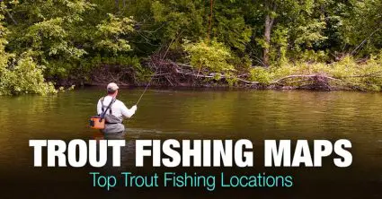 Trout Fishing Near Me – Top Trout Fishing Spots in the US