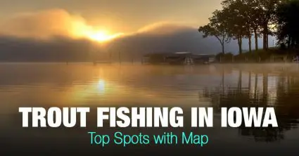 Trout Fishing in Iowa (IA) – Top Spots with Map