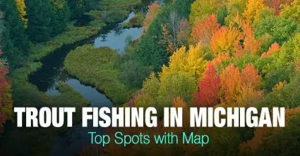 Trout Fishing in Michigan (MI) – Top Spots with Map