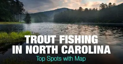 Trout Fishing in North Carolina (NC) – Top Spots with Map