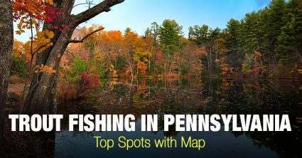 Trout Fishing in Pennsylvania (PA) – Top Spots with Map