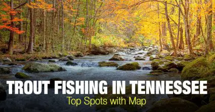 Trout Fishing in Tennessee (TN) – Top Spots with Map