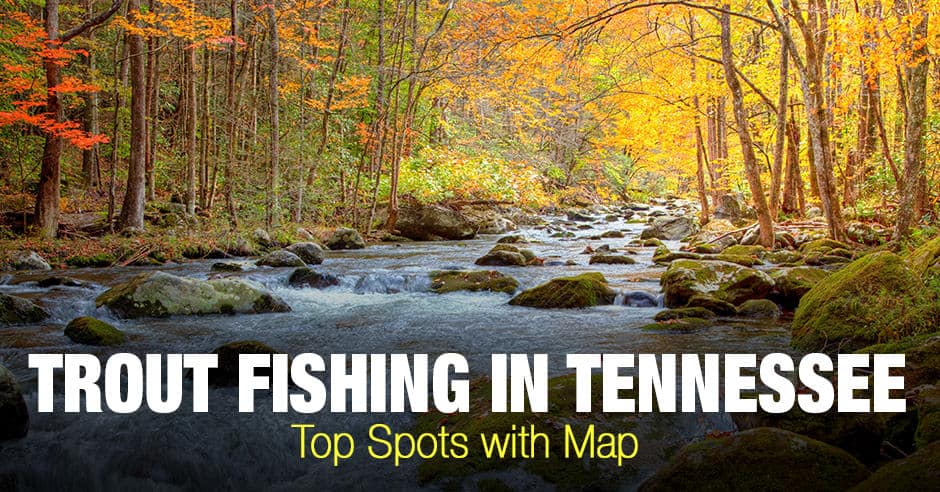 Trout Fishing in Tennessee (TN) - Top Spots with Map