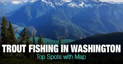 Trout Fishing in Washington (WA) – Top Spots with Map