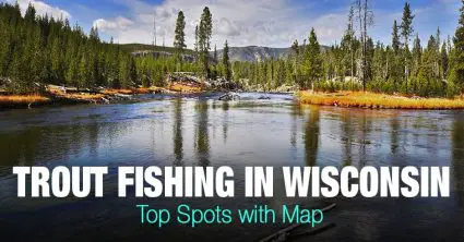 Trout Fishing in Wisconsin (WI) – Top Spots with Map