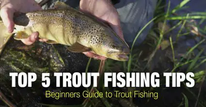 Trout Fishing Tips: Beginners Guide to Trout Fishing