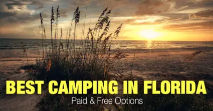 Best Camping in Florida (Paid & Free Options)