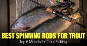 Top 6 Best Spinning Rods for Trout Fishing