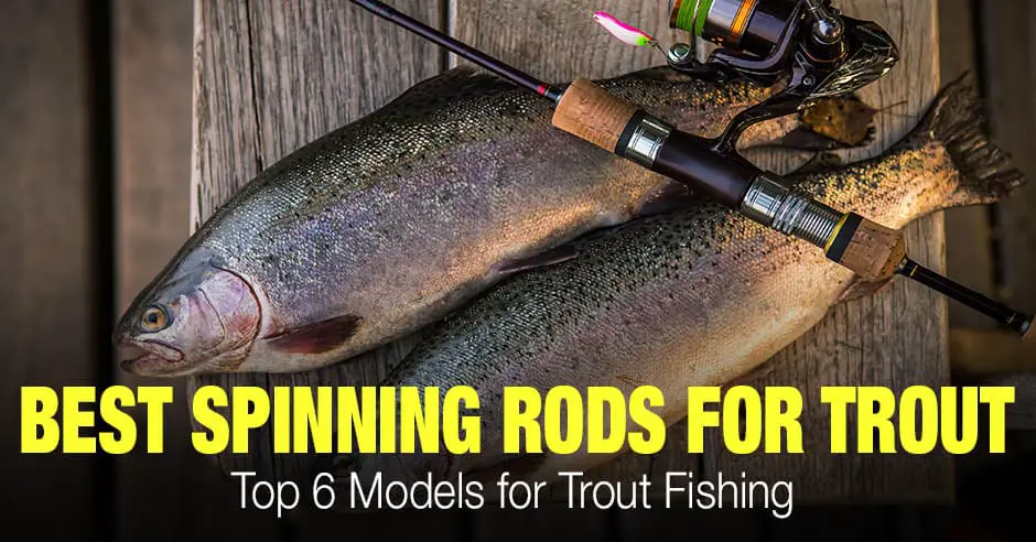 Best Spinning Rods for Trout Fishing