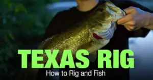 Texas Rig Fishing: How to Rig and Fish
