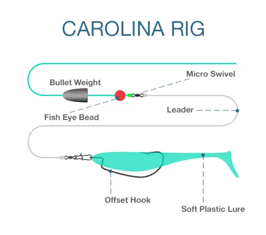 Bass Fishing Rigs: Carolina Rig
