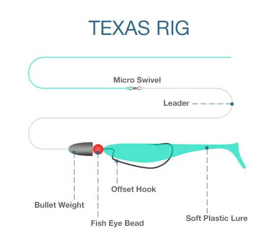 Texas Rig for Bass