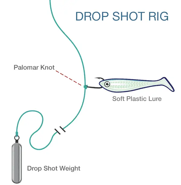 Drop Shot Rig for Bass