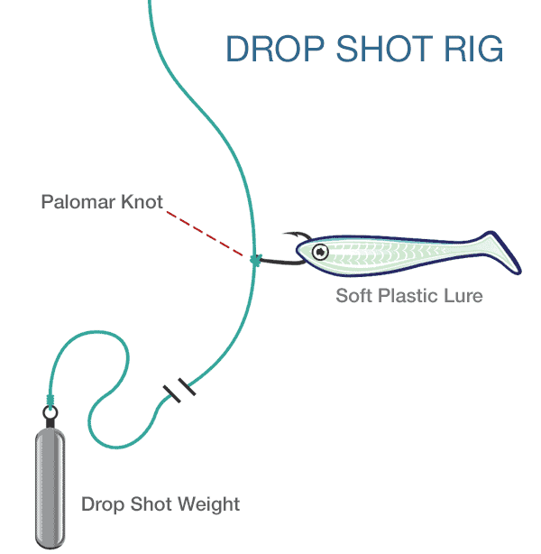 Drop Shot Rig Fishing Setup
