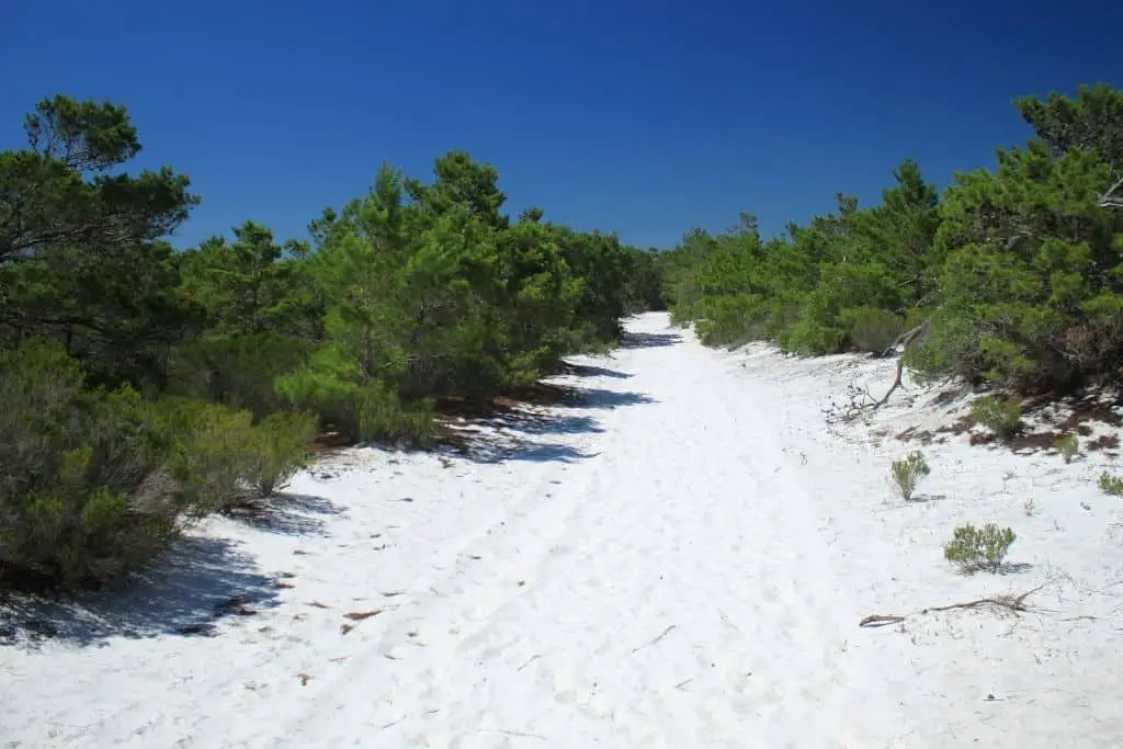 St. Joseph Peninsula State Park