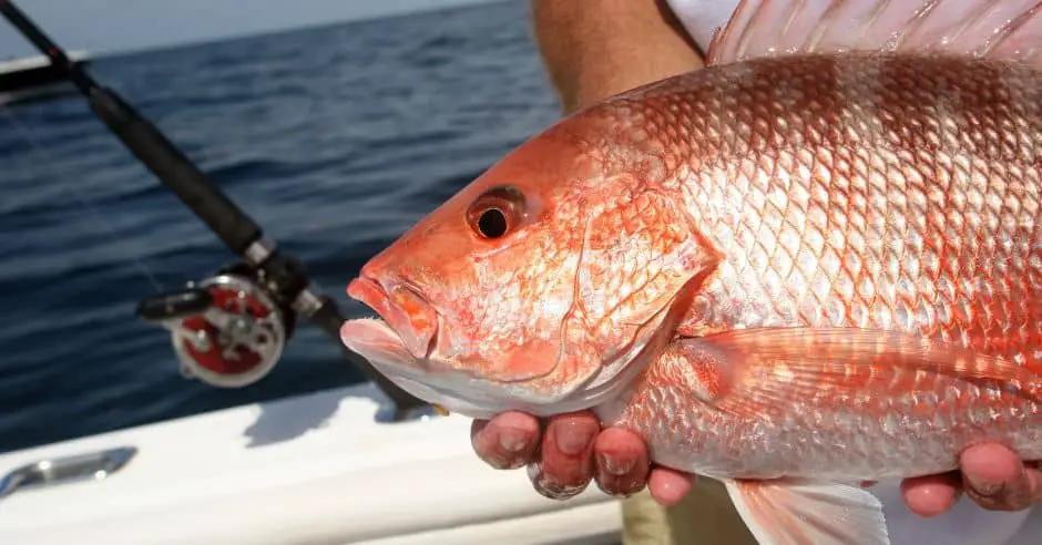 Fishing in Florida in October 