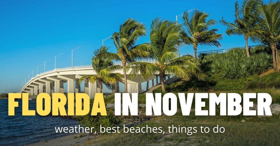 Florida in November: Is it a Good Time to Visit Florida?
