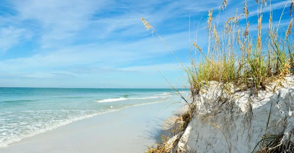 where to visit florida in january