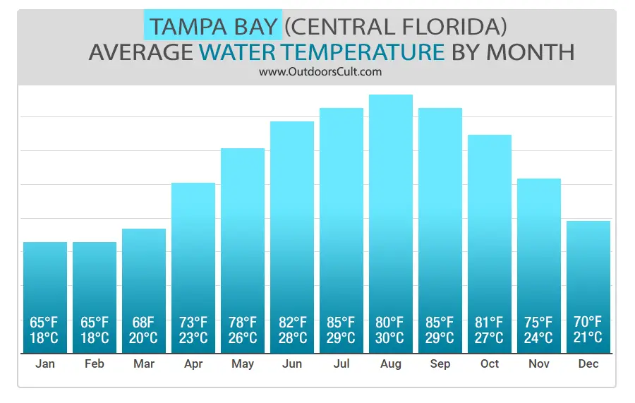 Water temperature in Tampa Bay in December