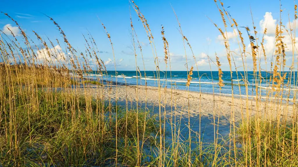 florida best places to visit in december